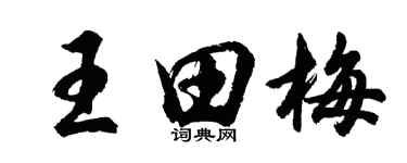 胡問遂王田梅行書個性簽名怎么寫