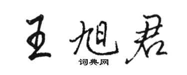 駱恆光王旭君行書個性簽名怎么寫