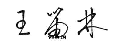 駱恆光王笛林草書個性簽名怎么寫