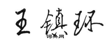 駱恆光王鎮環行書個性簽名怎么寫