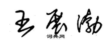 朱錫榮王展渤草書個性簽名怎么寫