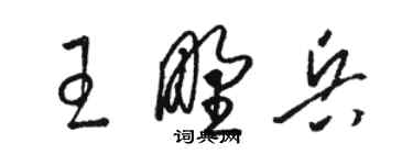 駱恆光王野兵草書個性簽名怎么寫