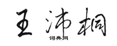 駱恆光王沛桐行書個性簽名怎么寫