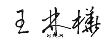 駱恆光王林樺草書個性簽名怎么寫