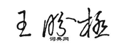 駱恆光王盼極草書個性簽名怎么寫