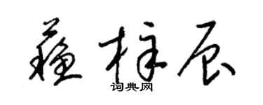 梁錦英蘇梓辰草書個性簽名怎么寫