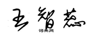 朱錫榮王智蕊草書個性簽名怎么寫
