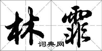 胡問遂林霏行書怎么寫