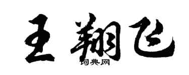 胡問遂王翔飛行書個性簽名怎么寫