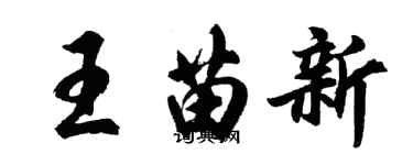 胡問遂王苗新行書個性簽名怎么寫