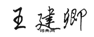 駱恆光王建卿行書個性簽名怎么寫