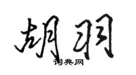 駱恆光胡羽行書個性簽名怎么寫
