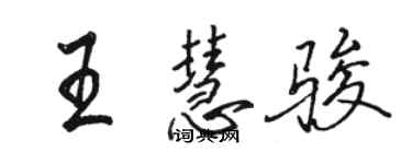 駱恆光王慧駿行書個性簽名怎么寫