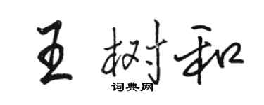 駱恆光王樹和行書個性簽名怎么寫