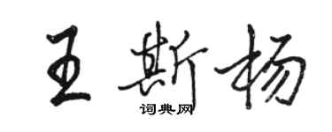 駱恆光王斯楊行書個性簽名怎么寫