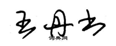 朱錫榮王丹書草書個性簽名怎么寫