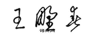 駱恆光王野春草書個性簽名怎么寫