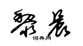 朱錫榮黎晨草書個性簽名怎么寫