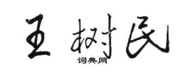 駱恆光王樹民行書個性簽名怎么寫