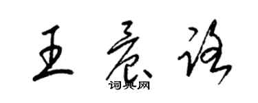 梁錦英王晨路草書個性簽名怎么寫