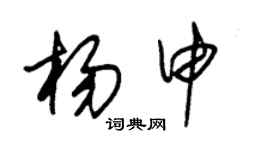 朱錫榮楊申草書個性簽名怎么寫