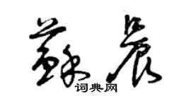 曾慶福蘇晨草書個性簽名怎么寫