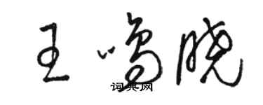 駱恆光王鳴曉草書個性簽名怎么寫