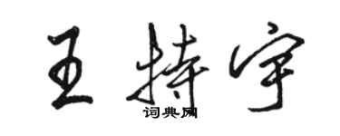 駱恆光王特宇行書個性簽名怎么寫