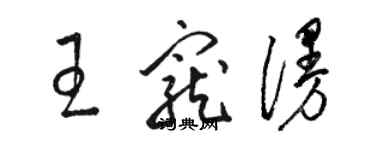 駱恆光王寵漫草書個性簽名怎么寫