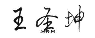 駱恆光王聖坤行書個性簽名怎么寫