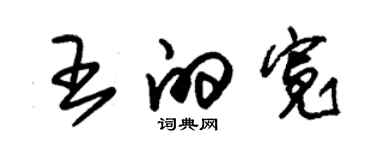 朱錫榮王的寬草書個性簽名怎么寫