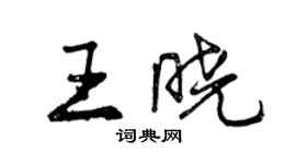 曾慶福王曉行書個性簽名怎么寫