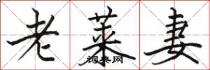 駱恆光老萊妻楷書怎么寫
