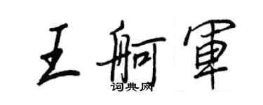 王正良王舸軍行書個性簽名怎么寫