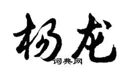 胡問遂楊龍行書個性簽名怎么寫