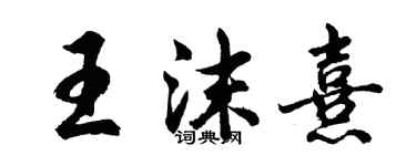 胡問遂王沫熹行書個性簽名怎么寫