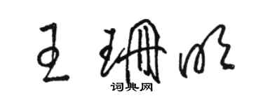 駱恆光王珊明草書個性簽名怎么寫