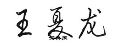 駱恆光王夏龍行書個性簽名怎么寫