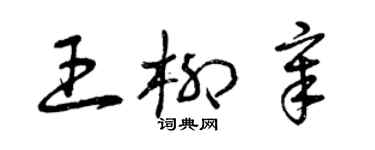 曾慶福王柳章草書個性簽名怎么寫