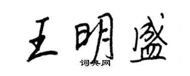 王正良王明盛行書個性簽名怎么寫