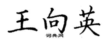 丁謙王向英楷書個性簽名怎么寫