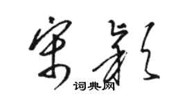 駱恆光宋穎草書個性簽名怎么寫