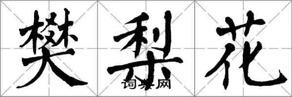 翁闓運樊梨花楷書怎么寫