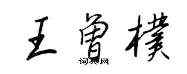 王正良王曾樸行書個性簽名怎么寫