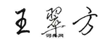 駱恆光王翠方行書個性簽名怎么寫