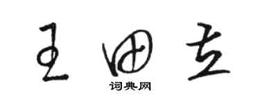 駱恆光王田立草書個性簽名怎么寫