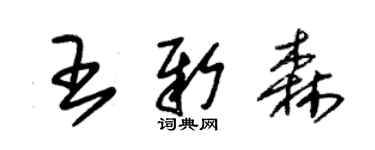 朱錫榮王新森草書個性簽名怎么寫