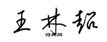 梁錦英王林超草書個性簽名怎么寫