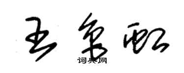 朱錫榮王魯虹草書個性簽名怎么寫