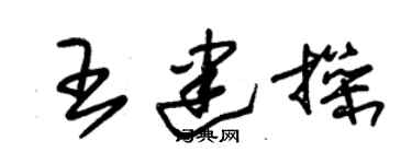 朱錫榮王建操草書個性簽名怎么寫